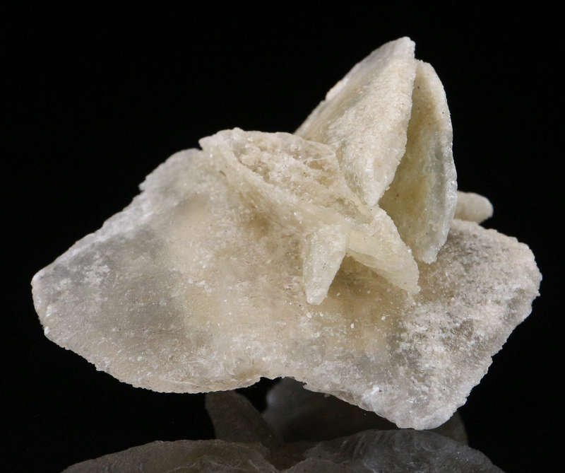Desert Rose, Namibia