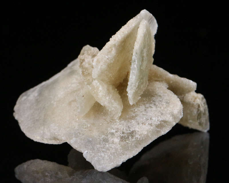 Desert Rose, Namibia