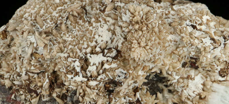 Calcite on Matrix"N'Chwaning II Mine, Kalahari Manganese Field, Northern Cape, South Africa. "