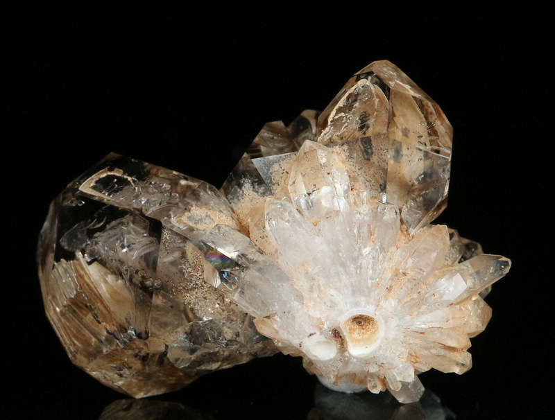 Smoky Quartz Cluster, Gobobosebberge Mnt, Namibia