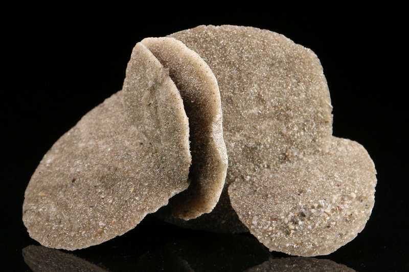 Desert Rose, Namibia
