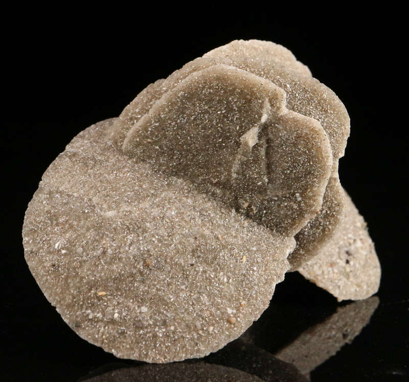 Desert Rose, Namibia