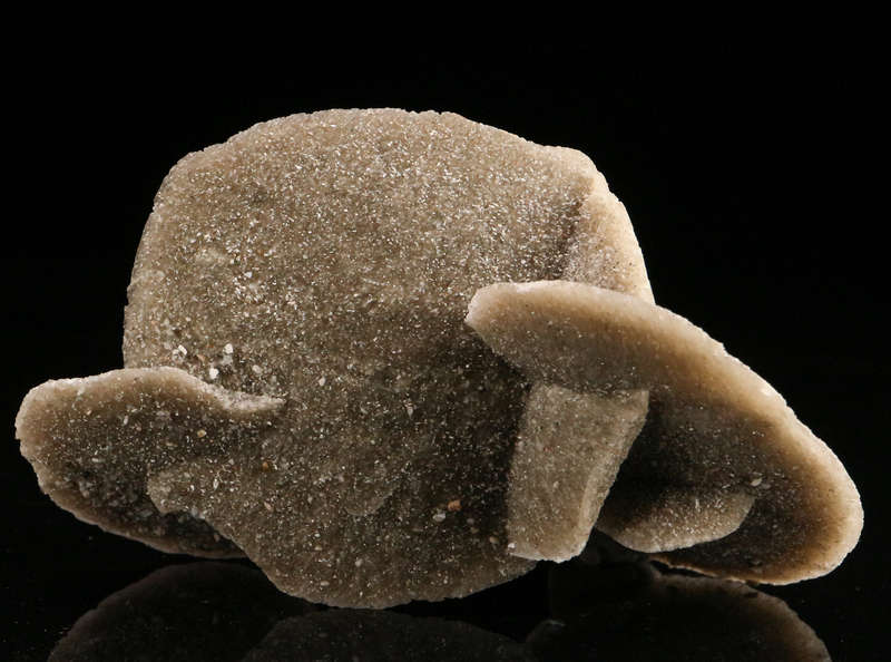Desert Rose, Namibia
