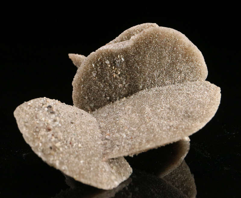 Desert Rose, Namibia