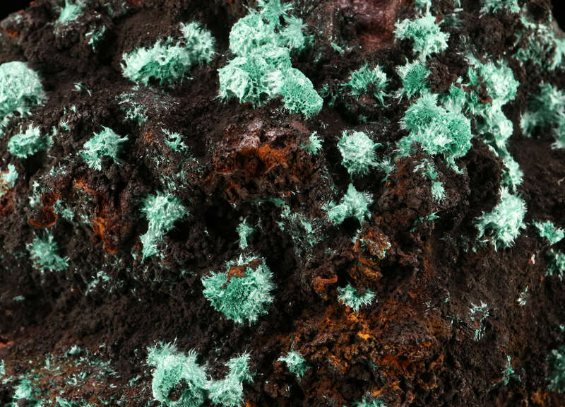 Malachite on Matrix, Skorpion Mine, Karas Region, Namibia