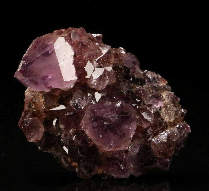 Amethyst/Smoky Cactus Quartz, Boekenhouthoek, South Africa