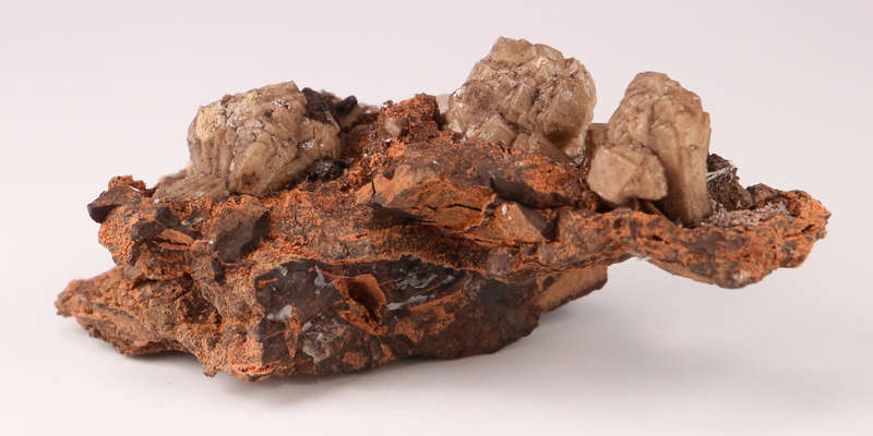Olmiite on Matrix, N'Chwaning II, Northern Cape, South Africa