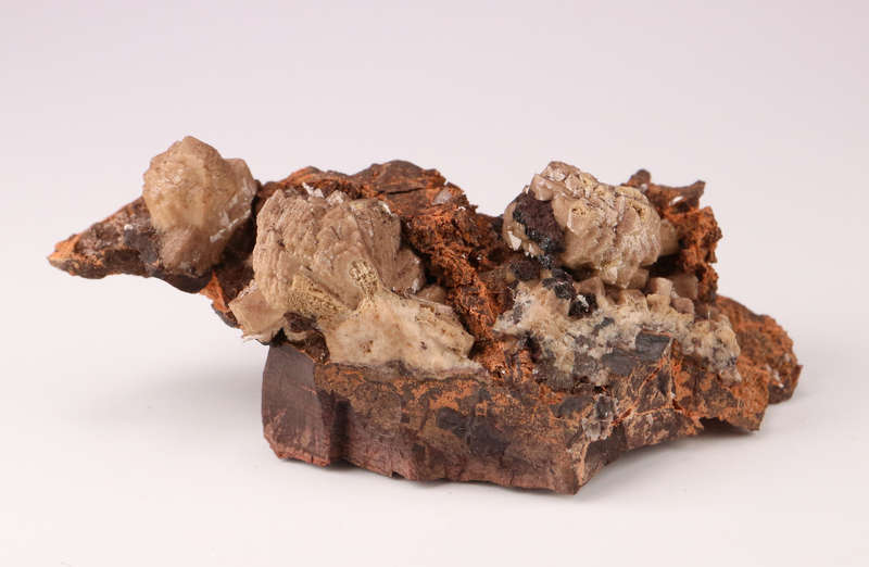 Olmiite on Matrix, N'Chwaning II, Northern Cape, South Africa