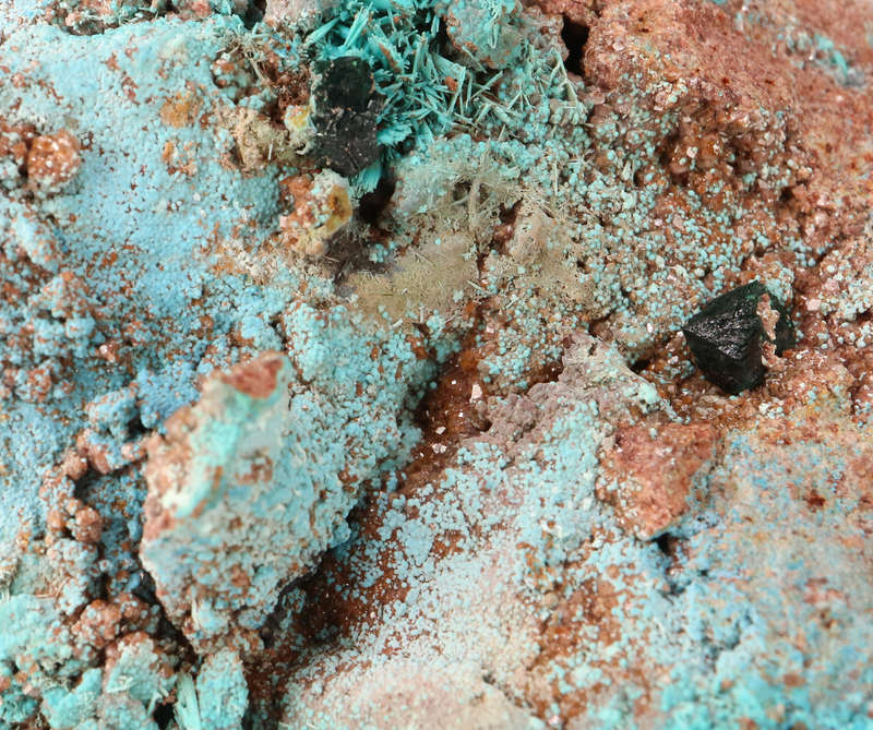 Malachite & Chrysocolla, Tenke Fungurume, DR Congo