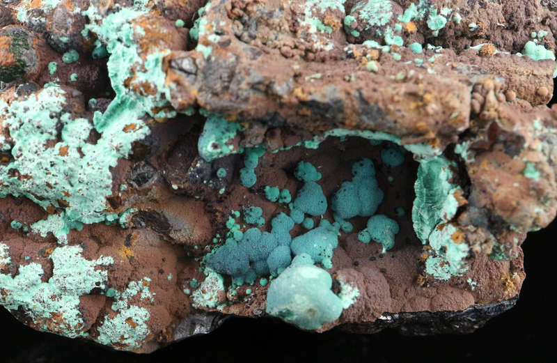 Chrysocolla on Goethite, Mashamba West Mine, DRC