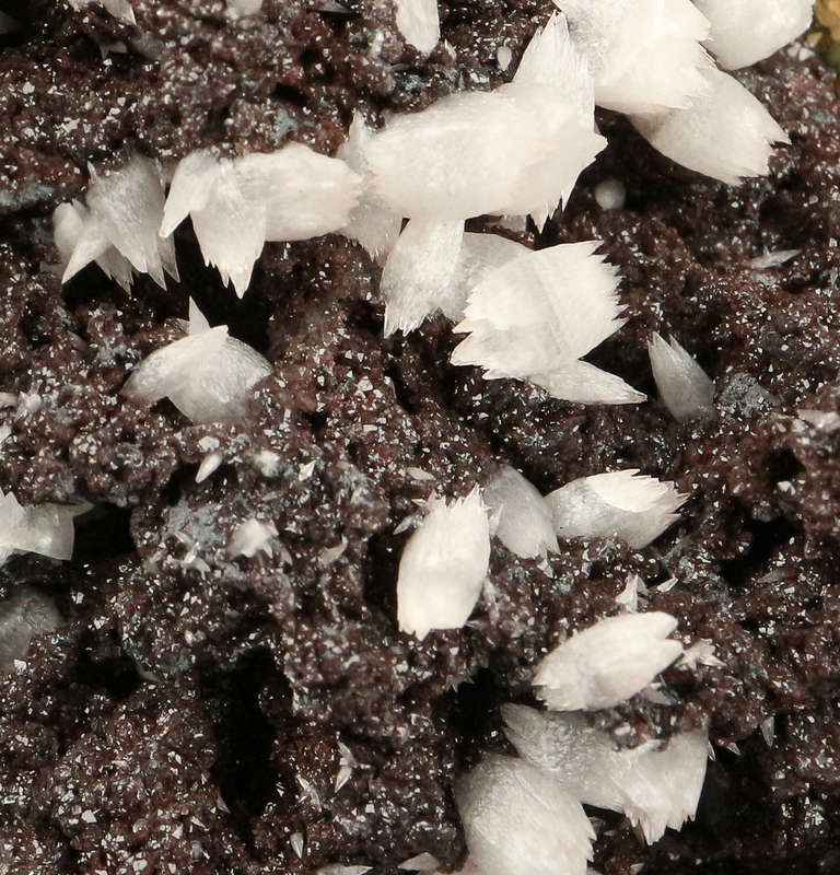 Calcite, Pyrite on Matrix,"N'Chwaning II Mine, Kalahari Manganese Field, Northern Cape, South Africa