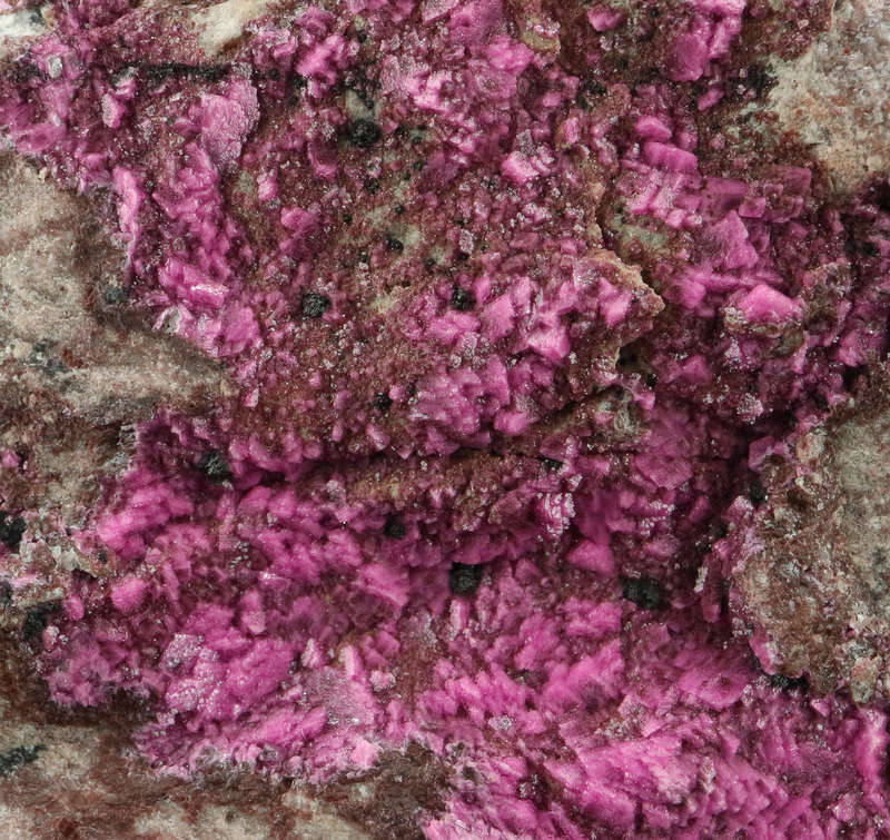 Cobaltoan Calcite on Matrix, Tenke Fungurume, DR Congo