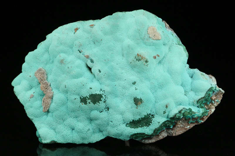 Chrysocolla on Matrix, Mashamba West Mine, DRC