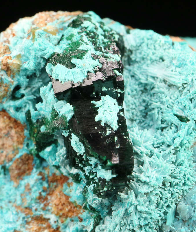 Malachite on Chrysocolla, Tenke Fungurume, DR Congo