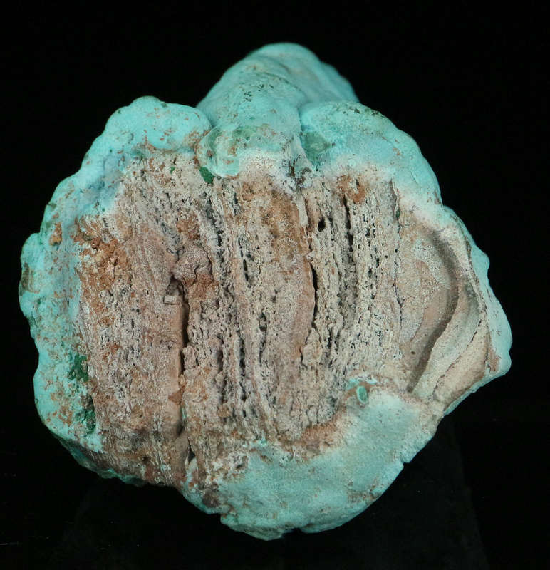 Chrysocolla Cluster, Mashamba West Mine, DRC