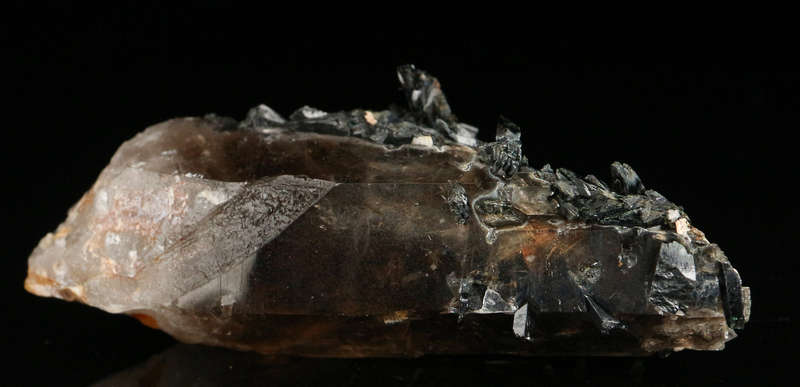 Aegirine Incl Smoky Quartz, Mount Malosa, Zomba, Southern Region, Malawi