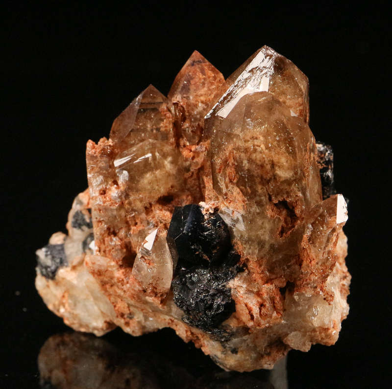 Schorl on Smoky Quartz Cluster, Erongo Mnt, Erongo Region, Namibia.