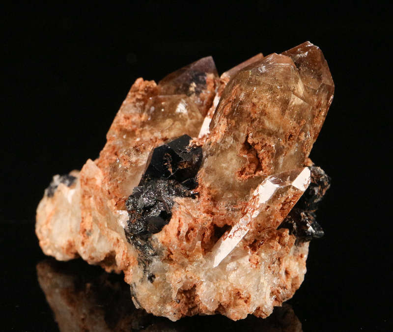 Schorl on Smoky Quartz Cluster, Erongo Mnt, Erongo Region, Namibia.