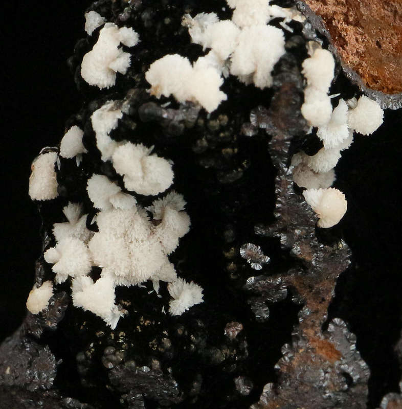 Calcite on Geothite , "N'Chwaning II Mine, Kalahari Manganese Field, Northern Cape, South Africa "