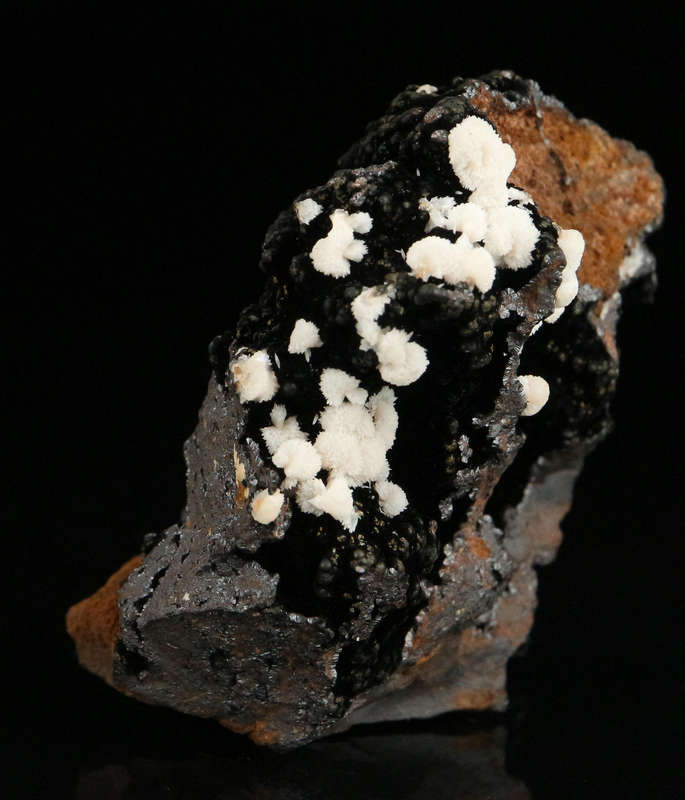 Calcite on Geothite , "N'Chwaning II Mine, Kalahari Manganese Field, Northern Cape, South Africa "