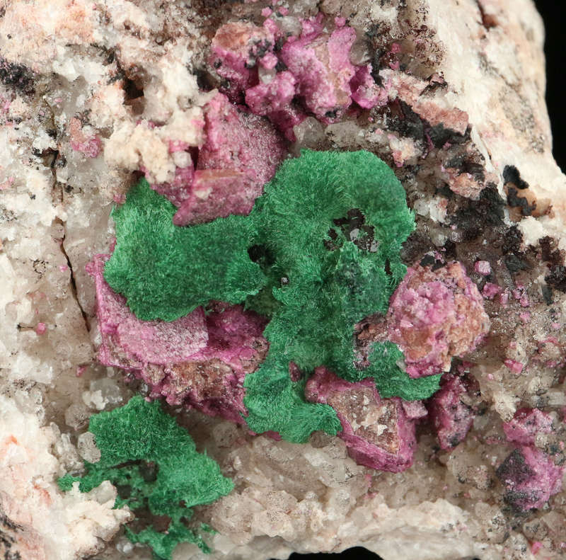 Malachite on Cobaltoan Calcite, Mashamba West Mine, DRC