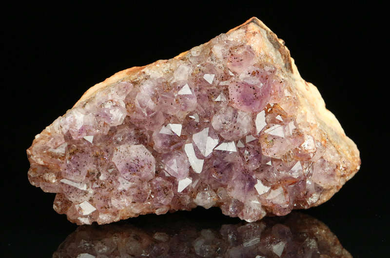 Amethyst Cactus Quartz, Boekenhouthoek, Mpumalanga, South Africa