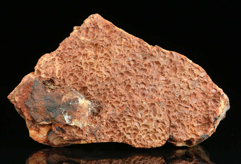 Amethyst Cactus Quartz, Boekenhouthoek, Mpumalanga, South Africa