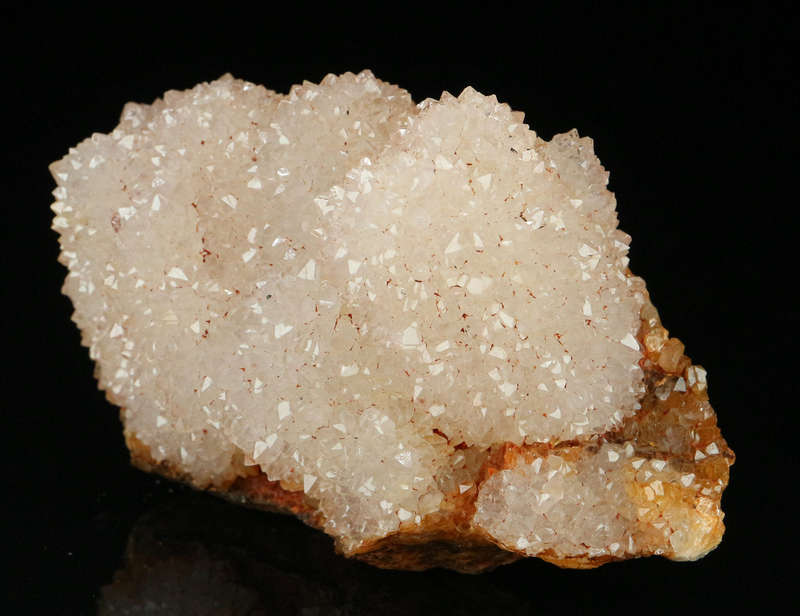 Amethyst Cactus Quartz, Boekenhouthoek, Mpumalanga, South Africa