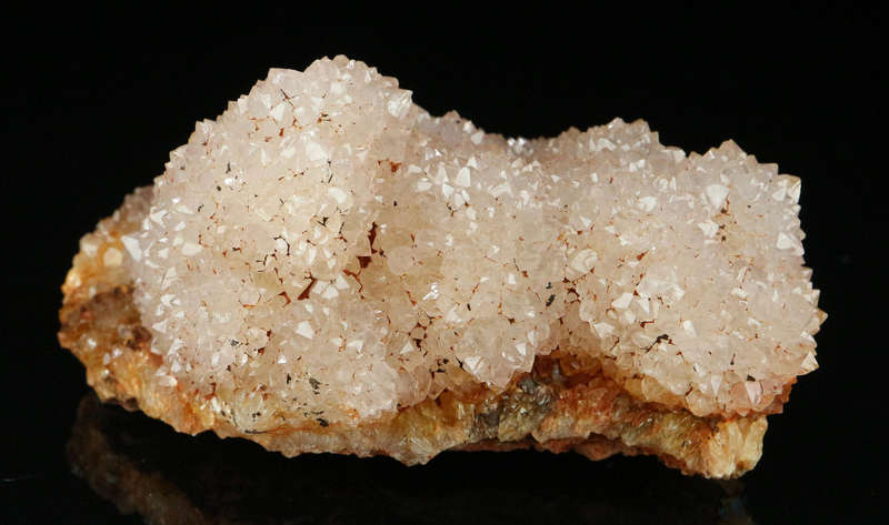 Amethyst Cactus Quartz, Boekenhouthoek, Mpumalanga, South Africa