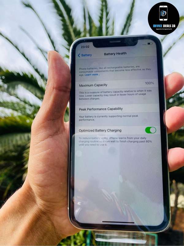 iPhone XR