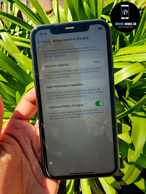 iPhone 11