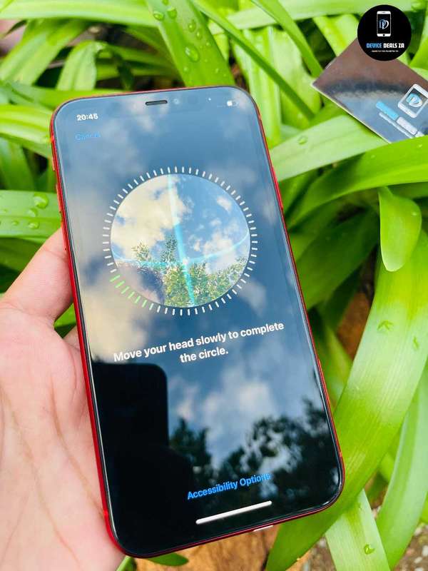iPhone 11