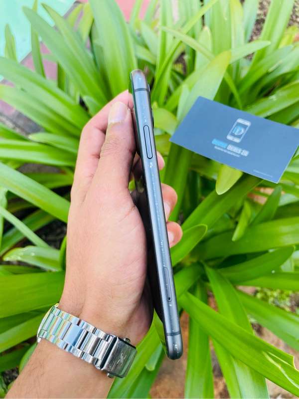 iPhone 11