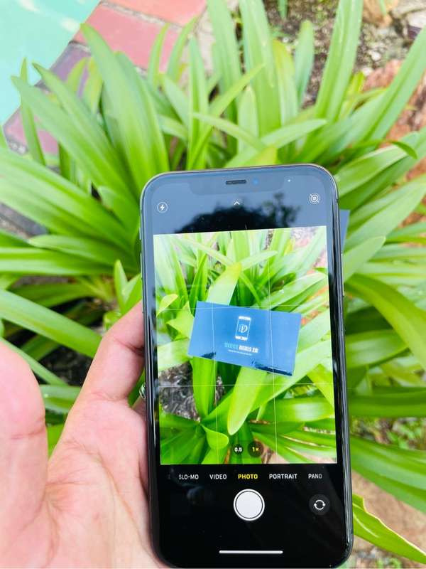 iPhone 11