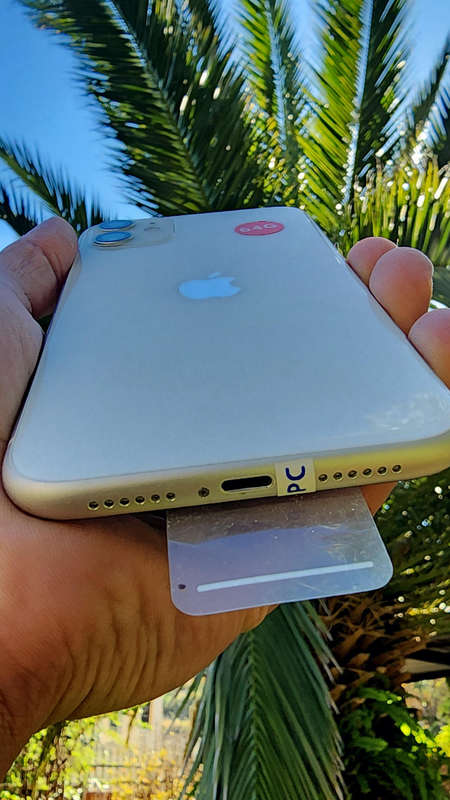 iPhone 11