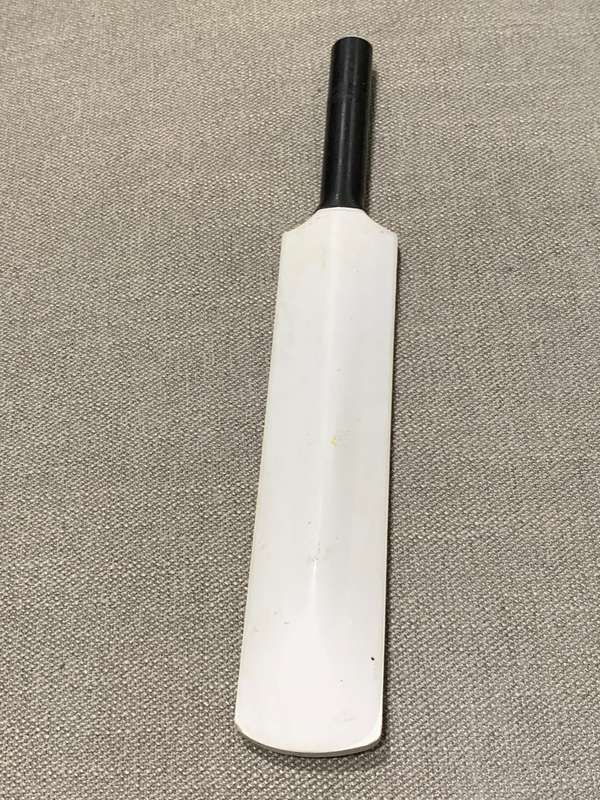 Limited Edition Promotional Mini Cricket Bat  Proteas Team  Printed Signatures  1999 Cricket WC