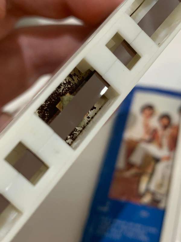 Cassette Tape - Wild Cherry . Only The Wild Survive - Not Tested / Sold As Is / See Pics