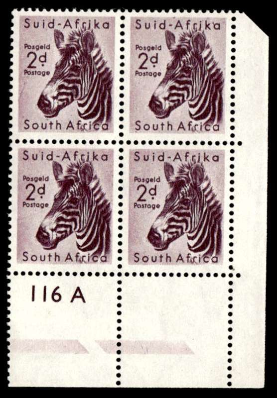 RSA 1954/10/14 Definitive issue 2d Mountain Zebra Cyl No. 116A Wmk MSH