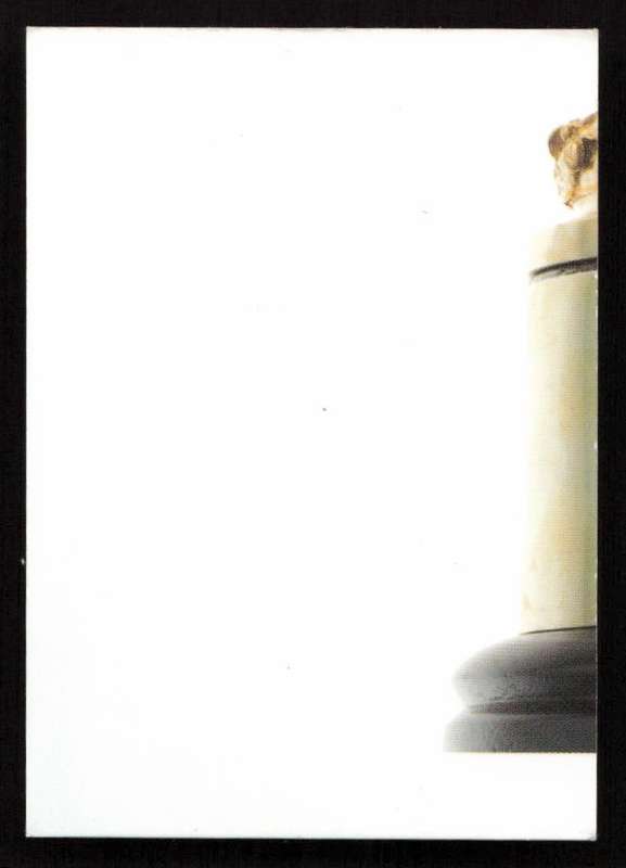 Rugby World Cup 2011 - Card 007/205 - The Webb Ellis Cup