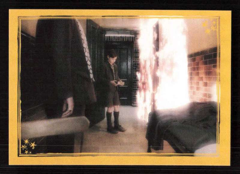 Panini Stickers Harry Potter and the Half-Blood Prince 120