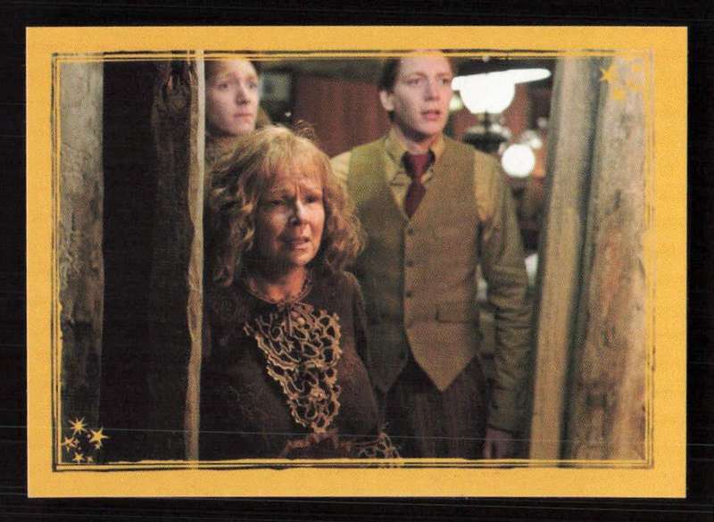Panini Stickers Harry Potter and the Half-Blood Prince 125