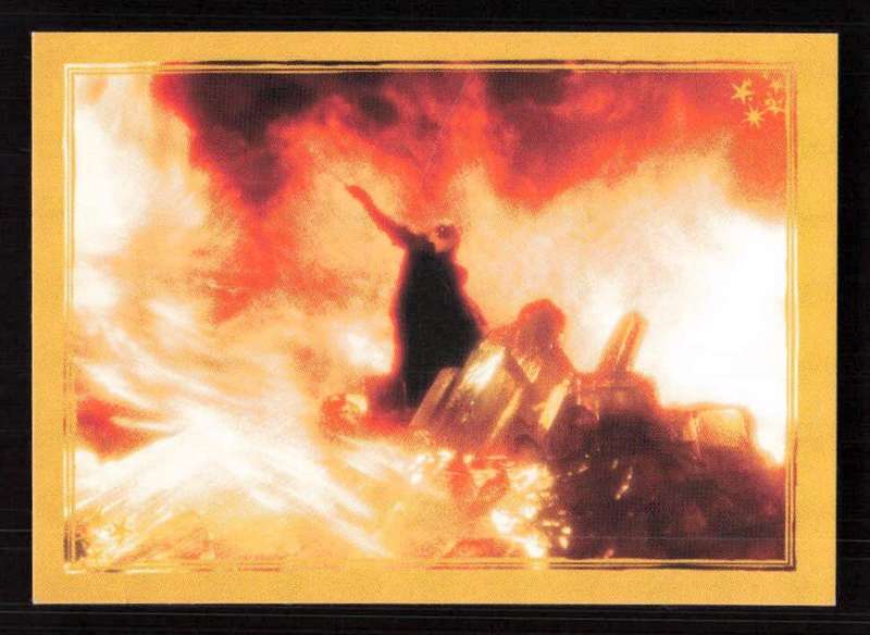 Panini Stickers Harry Potter and the Half-Blood Prince 186