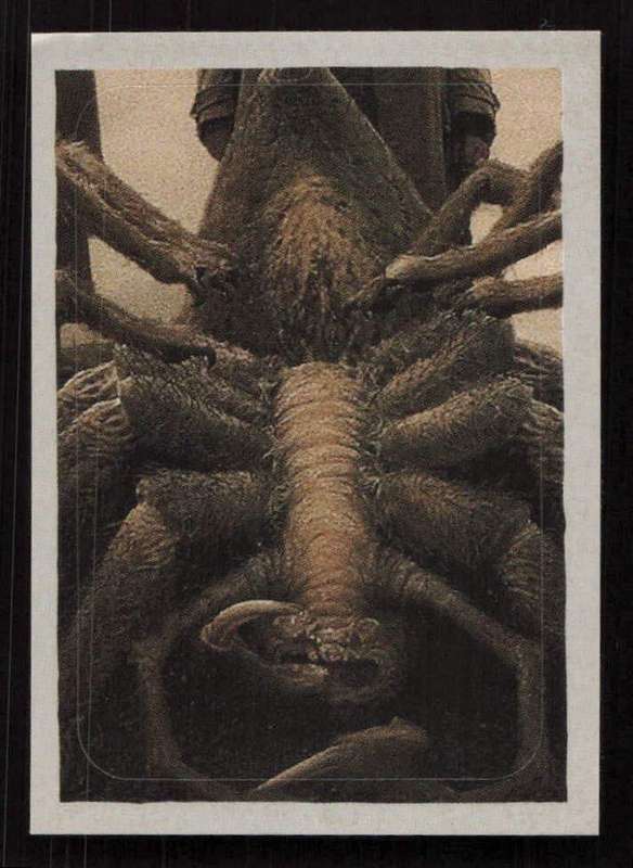 Panini Stickers Harry Potter and the Half-Blood Prince 270