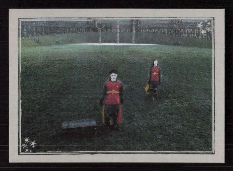 Panini Stickers Harry Potter and the Half-Blood Prince 290