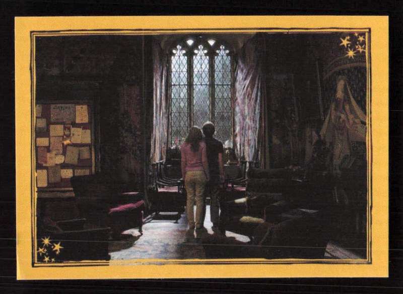 Panini Stickers Harry Potter and the Half-Blood Prince 323