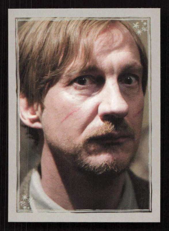 Panini Stickers Harry Potter and the Half-Blood Prince 347