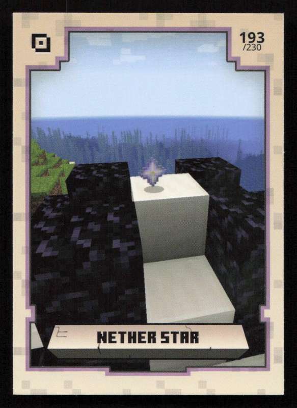 2020 Panini Minecraft Adventure 193/230