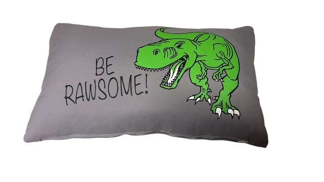 CUSHION - KIDS CUSHION - DINOSAUR - 48CM X 30 CM LONG
