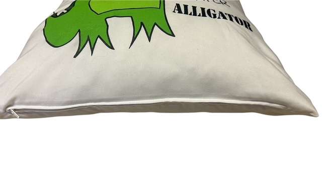 CUSHION - KIDS CUSHION - DINOSAUR - 45CM X 44CM
