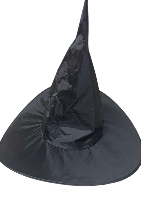 WITCH HAT WITH HAIR - HALLOWEEN - ONE SIZE FITS ALL